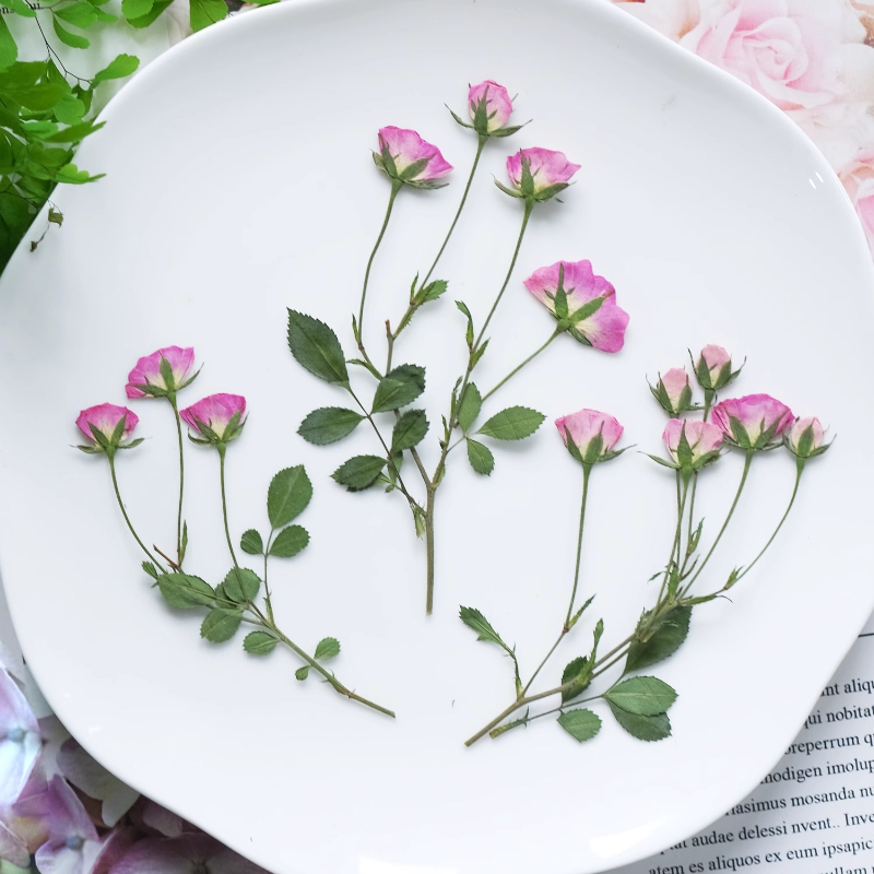 12 Stück, Mini Rosa Gepresste  – Holiday Candle Set Bewertung und Preis