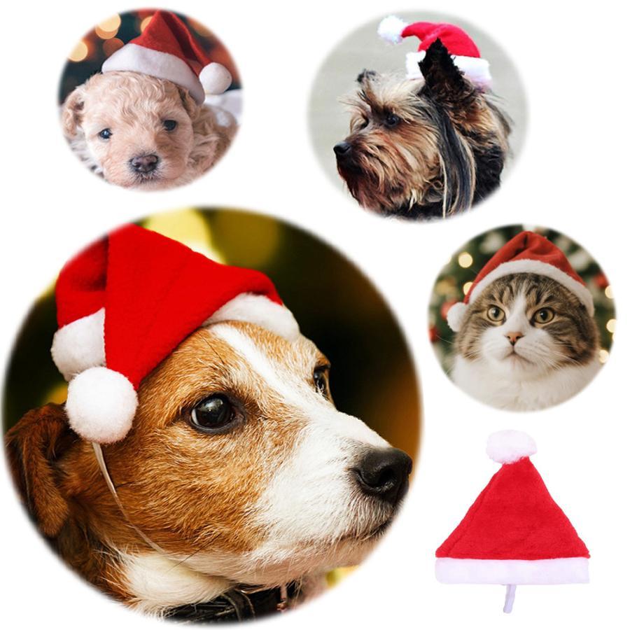 Weihnachts-Haustier-Weihnachts – Santa Hat Plush Bewertung und Preis